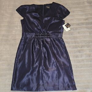 NEW Just...Taylor Shimmering Iridescent Navy Dress Size 10